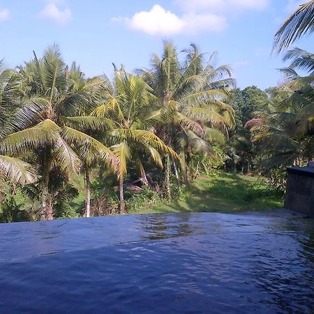 Hotel Dewa House Bisma Ubud Zewnętrze zdjęcie