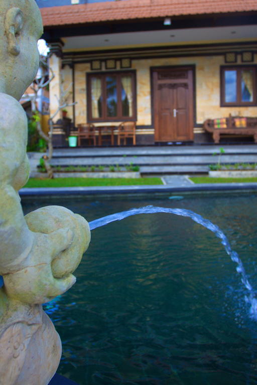 Hotel Dewa House Bisma Ubud Zewnętrze zdjęcie