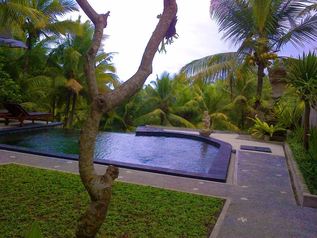 Hotel Dewa House Bisma Ubud Zewnętrze zdjęcie