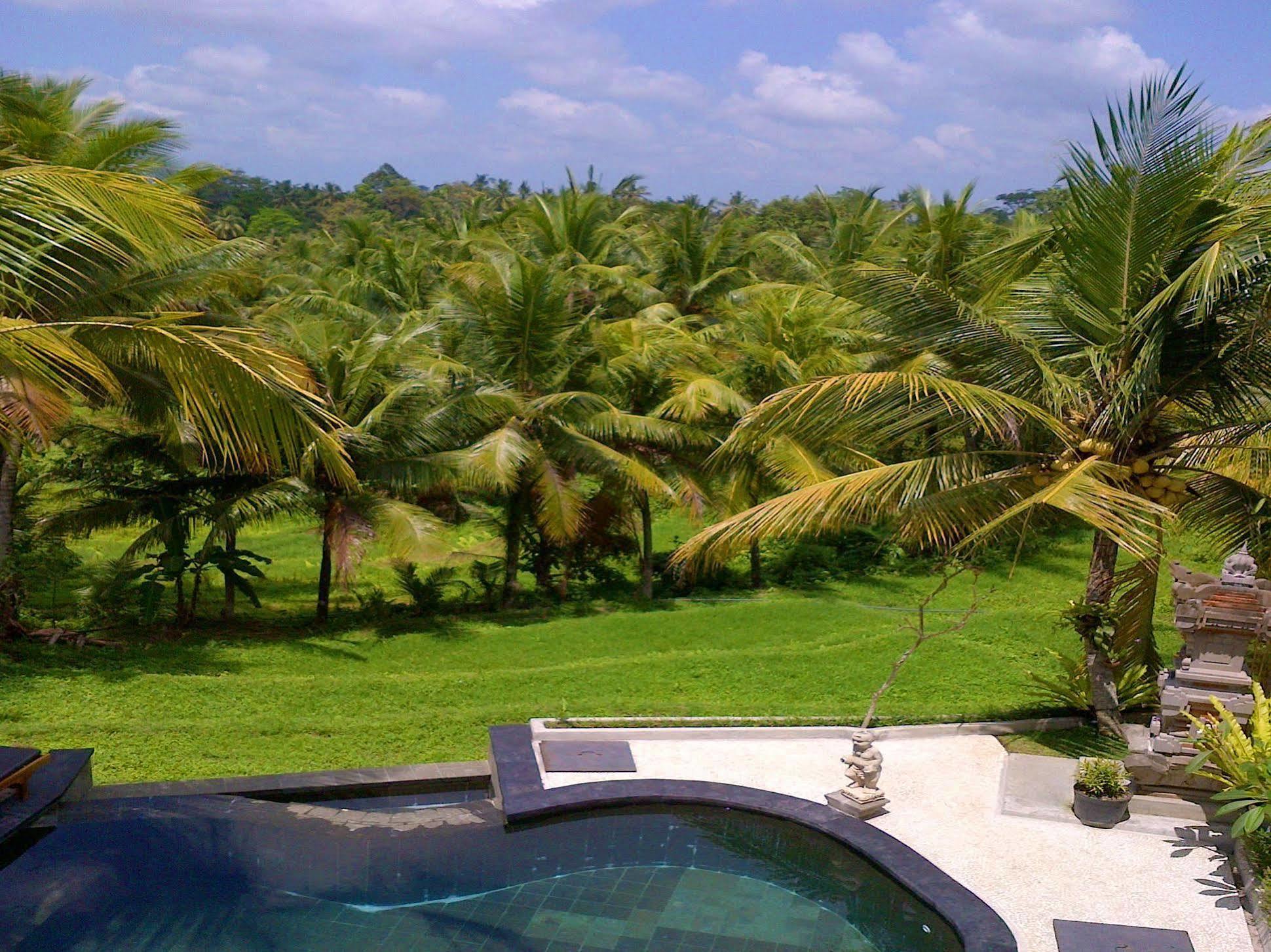 Hotel Dewa House Bisma Ubud Zewnętrze zdjęcie